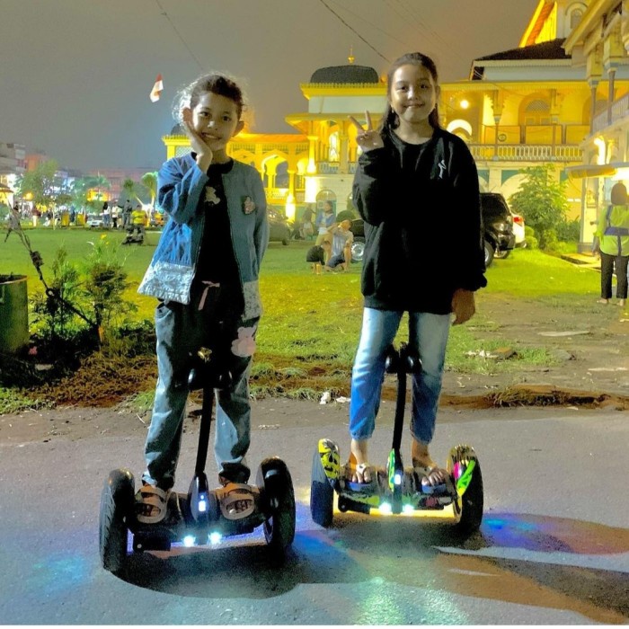 Ninebot Ni Segway Self Balancing Electric Scooter Hoverboard