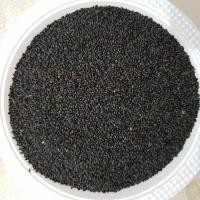 

BIJI SELASIH KILOAN KEMASAN 100GR ONS BASIL SEEDS CURAH KUALITAS PREMIUM