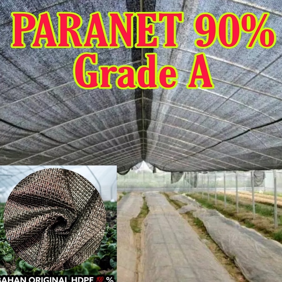 Dijamin Ori>/ PARANET 90% GRADE A import ( eceran )