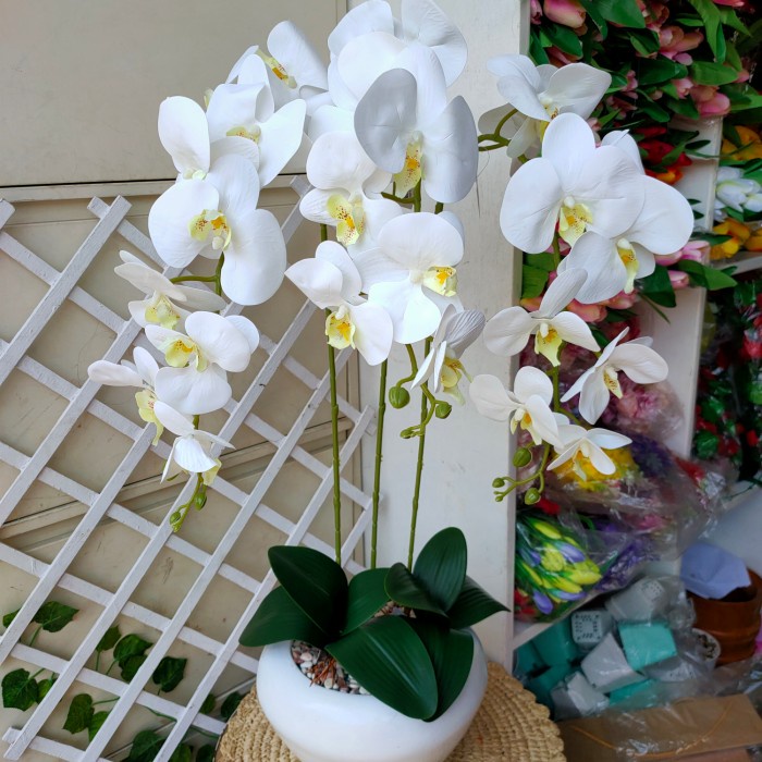 PROMO ANGGREK LATEX PREMIUM VAS CENDOL GOLD TERLARIS