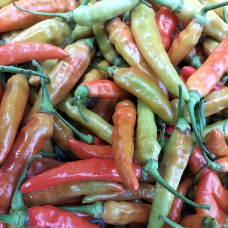

500 gram | Cabe / Cabai Rawit Merah Segar Cabai Pedas