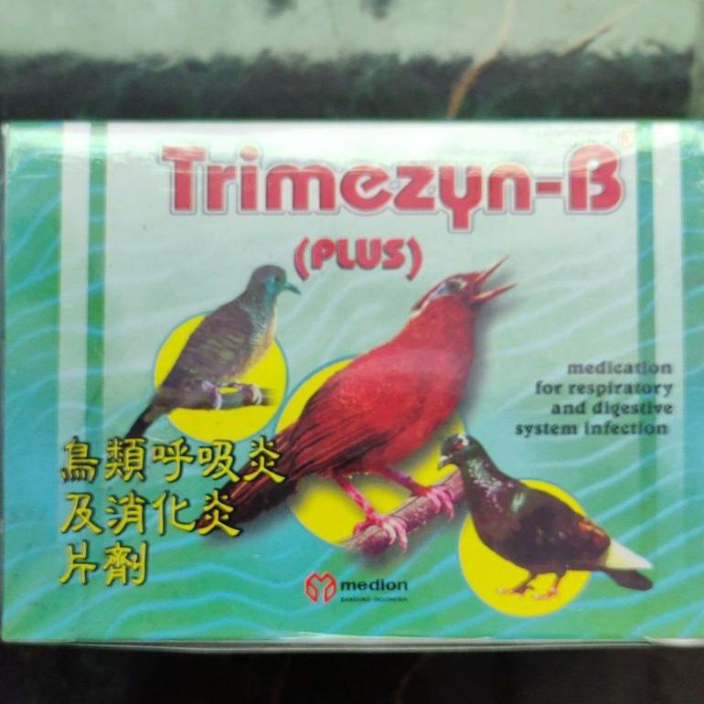 Promo Trimezyn B Plus Box (12Pcs) Erp