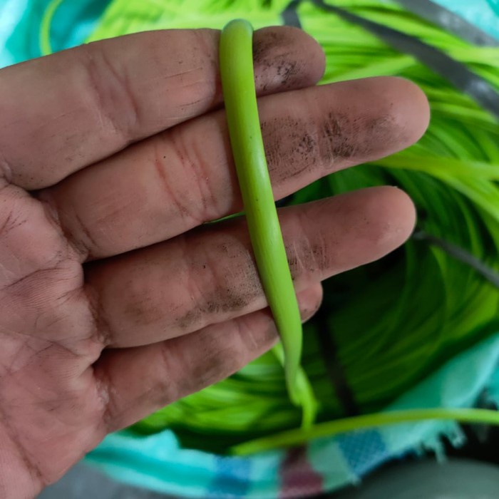 Terlaris Bahan Rotan Sintetis Belahan Ayunan Gantung Sintetis Harga Per Kilo