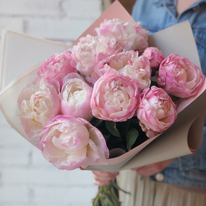 Best Seller Peony Flower/ Bunga Import Asli/ Fresh Flower Peony