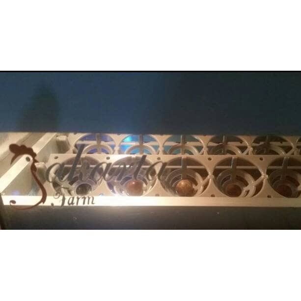 DISKON SPESIAL RAK MESIN TETAS OTOMATIS SISTEM APB TERMURAH