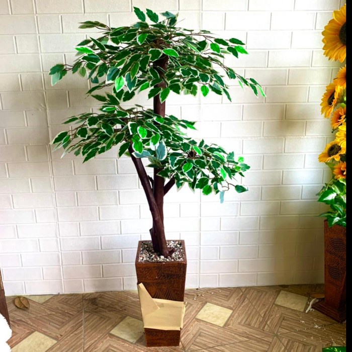 MUST HAVE POHON BERINGIN HIJAU LIST PUTIH TINGGI 120CM TERMURAH