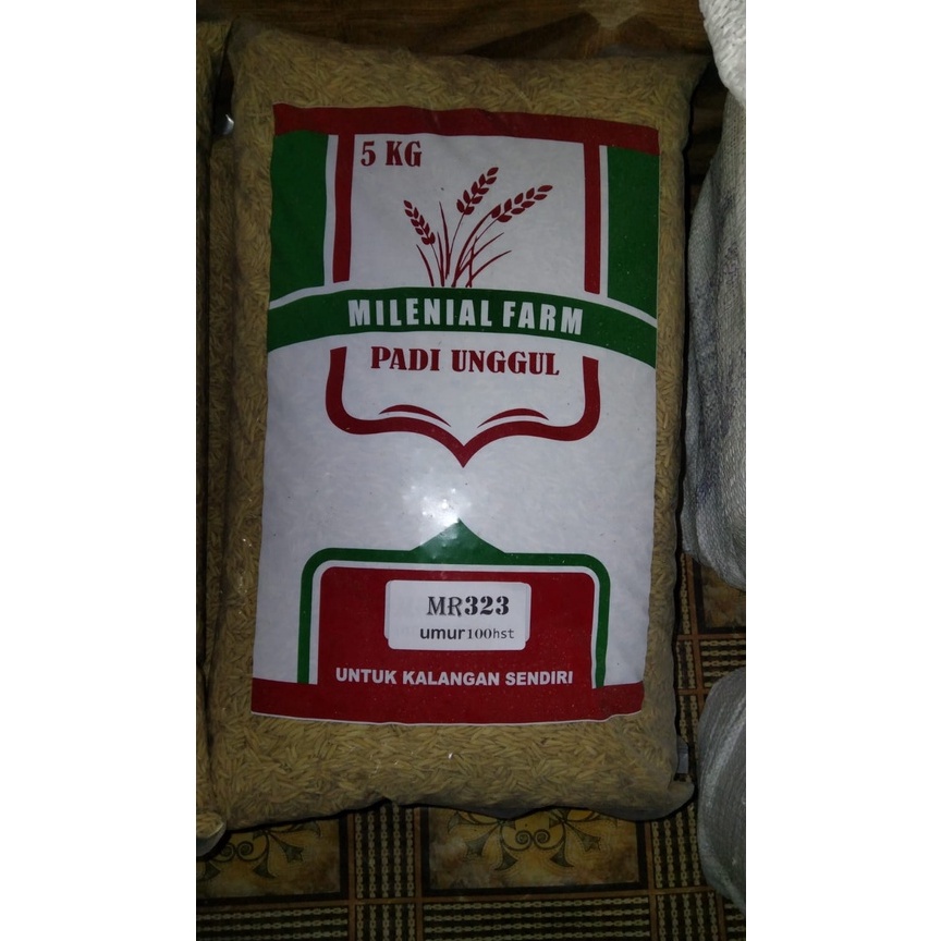 Recomended.. BENIH PADI MR 323 5 KG BIBIT PADI UNGGUL 50