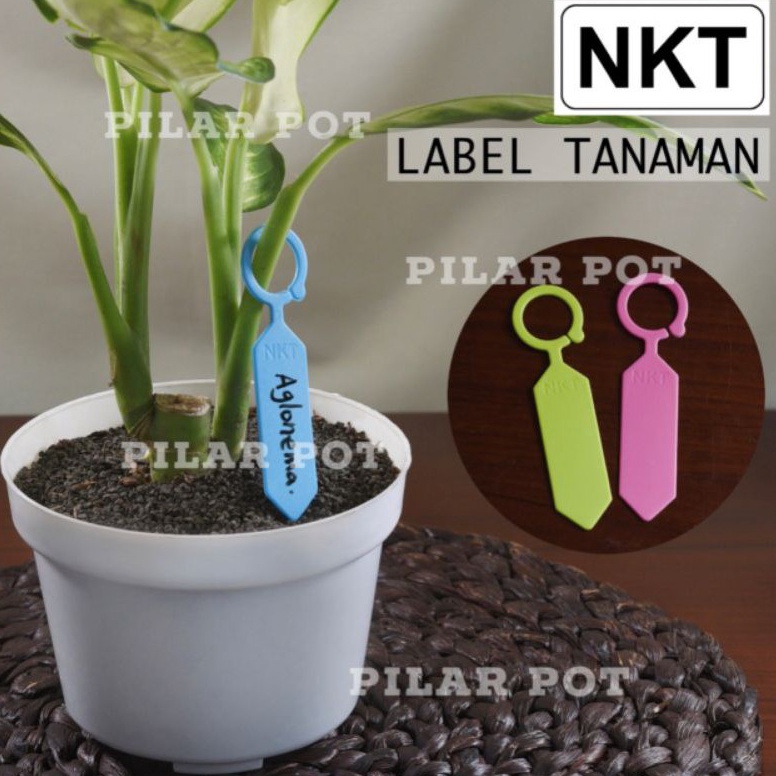 

Terbaru label tag tanaman nkt warna warni name tag bahan tebal - per pack isi 50 pcs 05Z