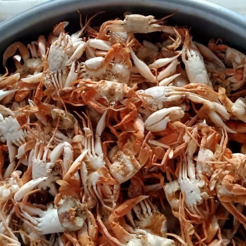 Bestseller Baby Crab Frozen 1Kg