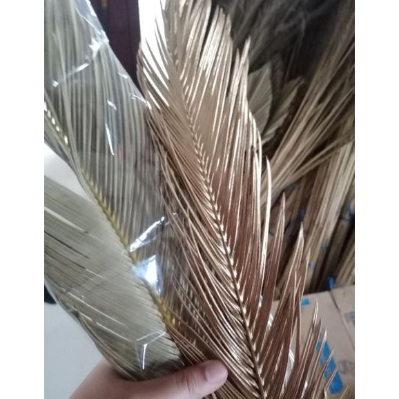 Trend - PAKET LENGKAP  DAUN PALEM KERING-SIKAS-CANTEL-BUNGA RUSTIC AESTHETIC-DEKORASI RUSTIC-BUNGA K