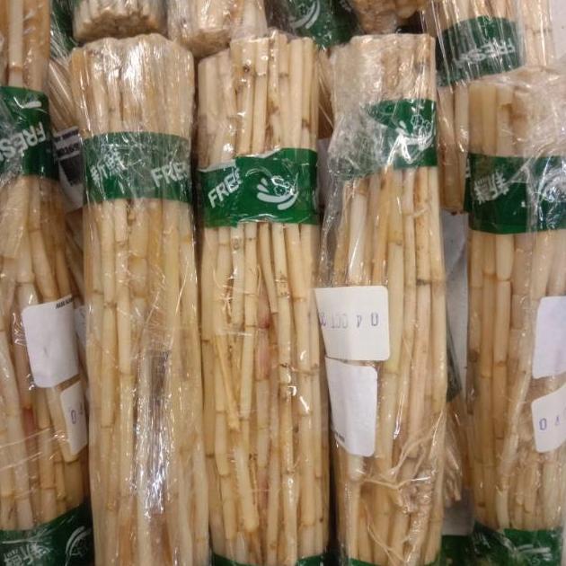

Promo Akar Alang Alang Fresh 1Kg