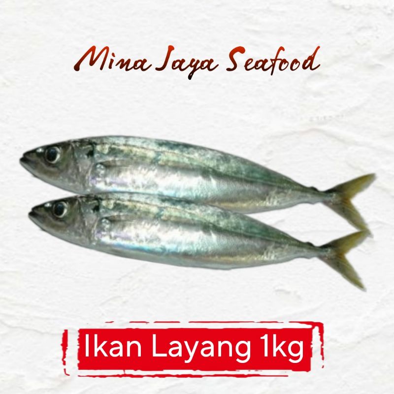

Ikan Layang 1KG / FREE SUDAH DIBERSIHKAN