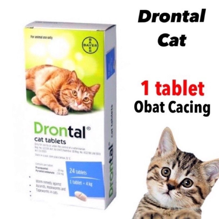 ➢Ready➳ FLBSG DRONTAL KUCING 1 TABLET DRONTAL CAT OBAT CACING KUCING OBAT CACING HEWAN OBAT CACING K