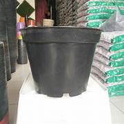 pot ukuran 20 cm bijian