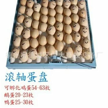 Egg Tray Rak Mesin Tetas Telur dg Dinamo Otomatis Rak Penetas Otomatis