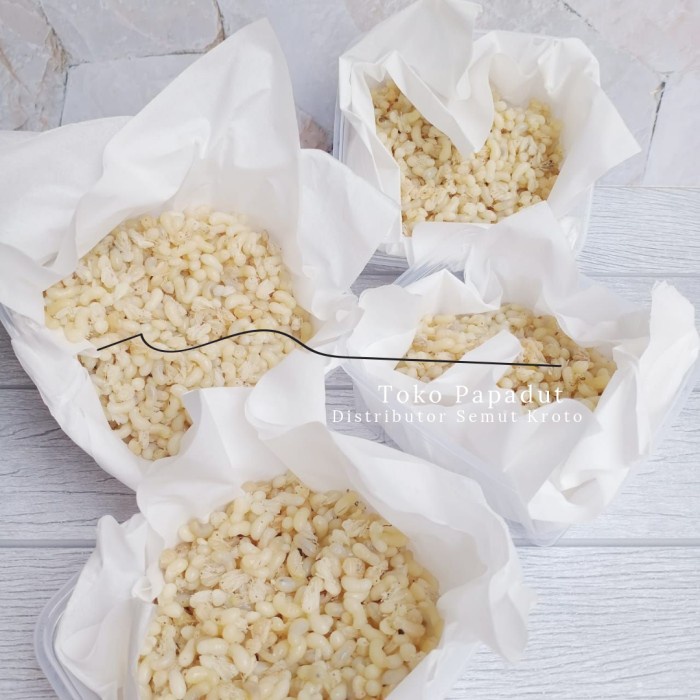 Bestseller Kroto Khusus Telur Besar 1 Ons