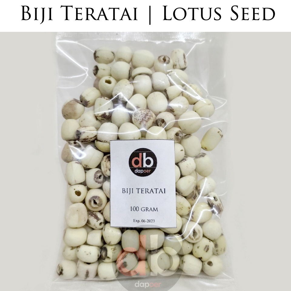 

Paling Dicari.. Biji Teratai | Lotus Seed | Lian Zhe RCD