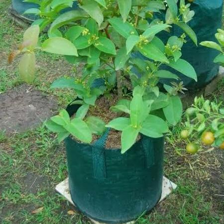 *#*#*#] planter bag 50 liter