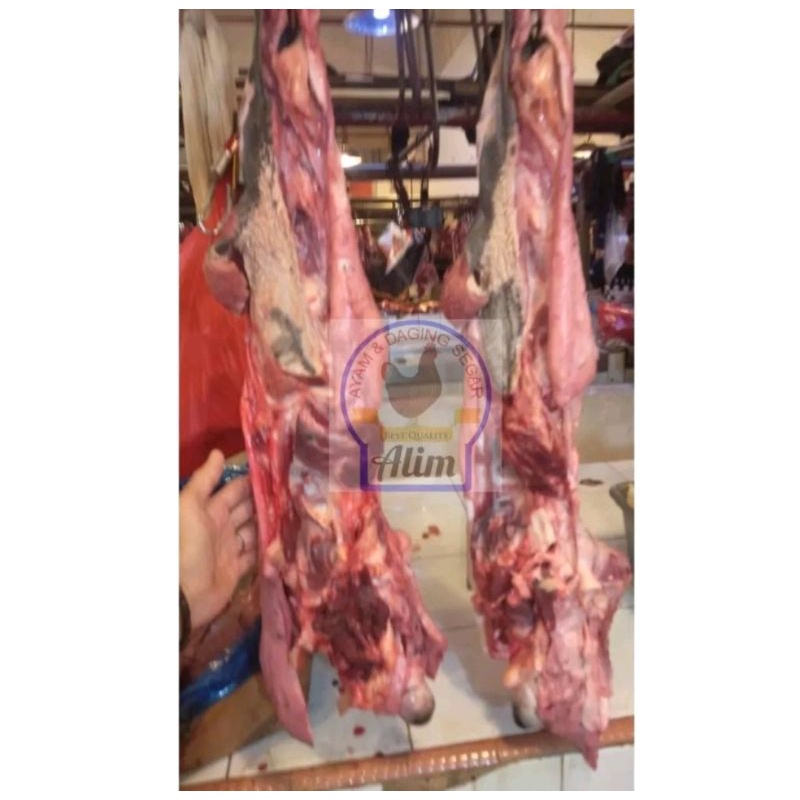 

Kepala Sapi (Fresh Cheek Meat)