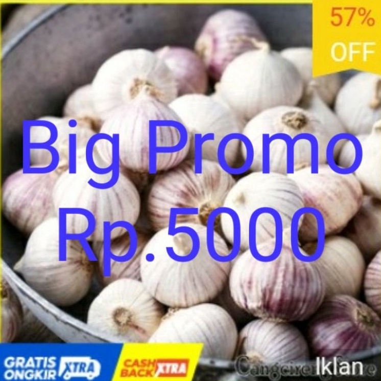 

RDVN9734 【Penjualan Terbaik】COD Bawang Putih Tunggal Lanang Besar JUMBO 1KG/ fresh import