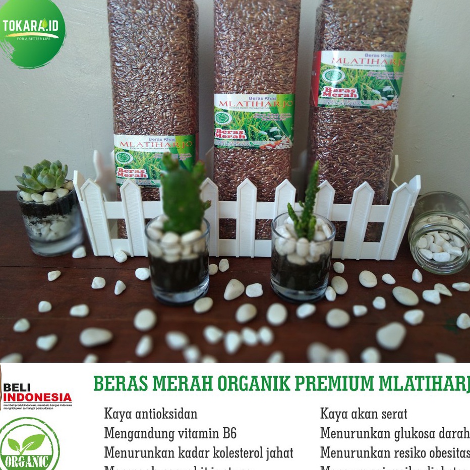 

♚ I 81087 Beras merah organik premium (diet & MPASI ) ✨ 7.7 ៚