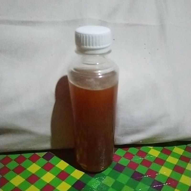 

Madu kelulut