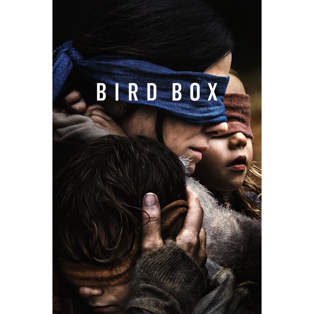 DVD Kaset Bird Box (2018)