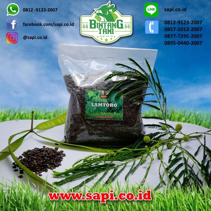 BENIH LAMTORO 1 KG ORIGINAL