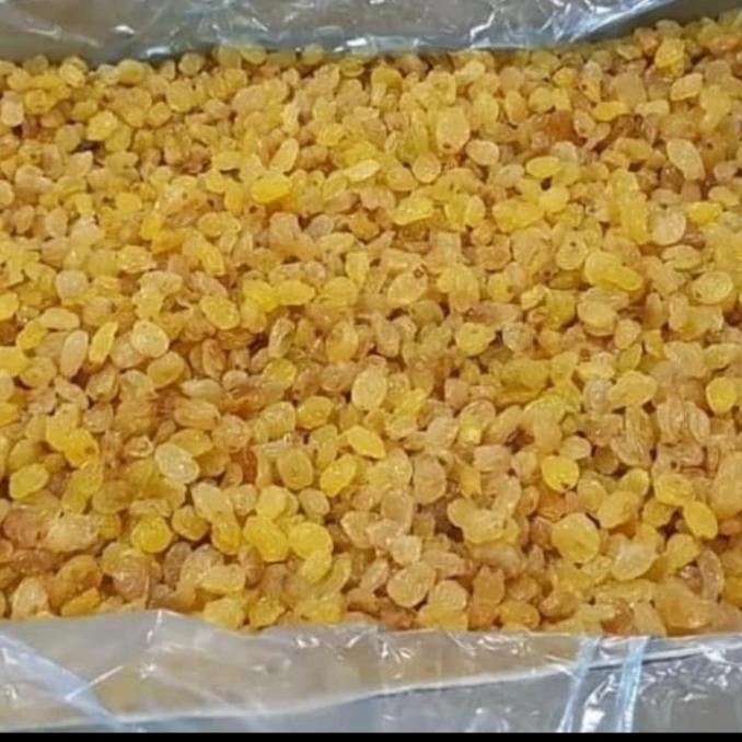 

.........] FRESH , SWEET RAISINS . SIMIN , KISMISH MANIS KUNING 1 KG