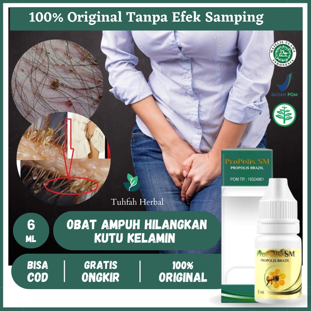 Obat Kutu Kemaluan, Obat Kutu Kelamin, Obat Gatal Di Kemaluan, Gatal Rambut Kemaluan, Kutu Pubis Kel