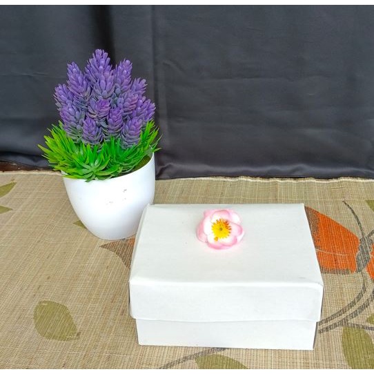 Dus Pacitan / Dus Snack Plus Aqua / Box Snack / Dus Polos Tipis