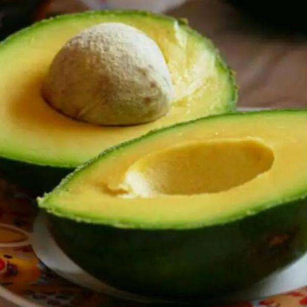 COD✔️ Bibit alpukat miki asli unggul/alpukat mentega miki asli