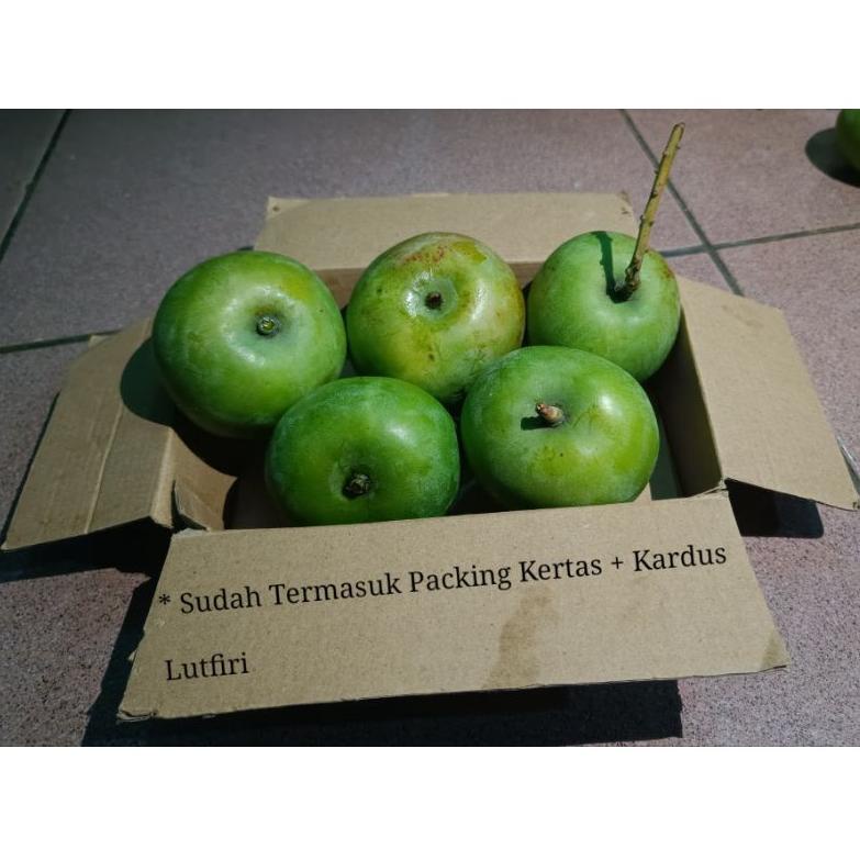 

Bagus!!!!!! Mangga apel Mentah 1 kilogram ( rasa masam / asam ) Pas Buat di rujak dan di makan segar mangga muda mantap asam asem