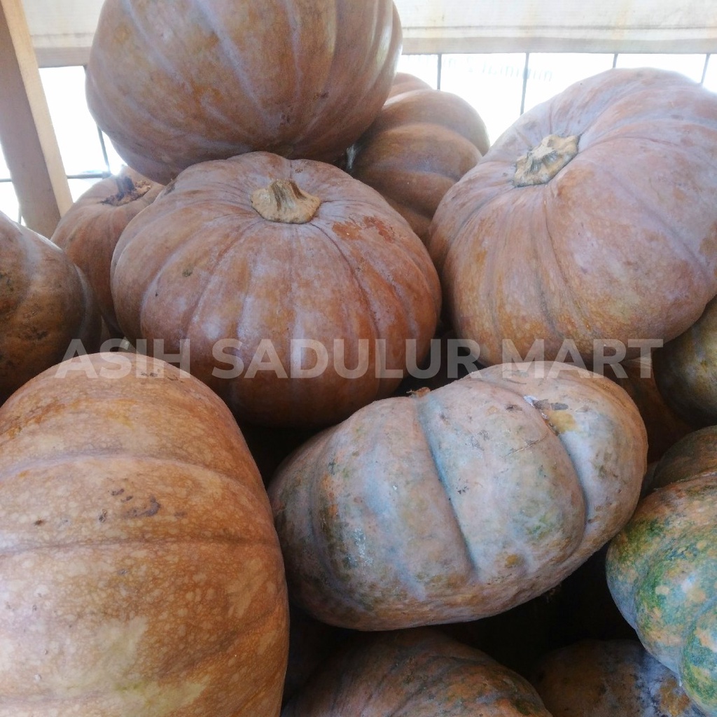 Labu Kuning / Pumpkin 500g / 1kg / 1 Buah Utuh Promo Bandung | Asih Sadulur Mart