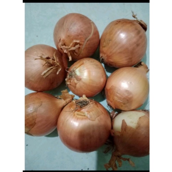 

Bawang Bombay 1 kg