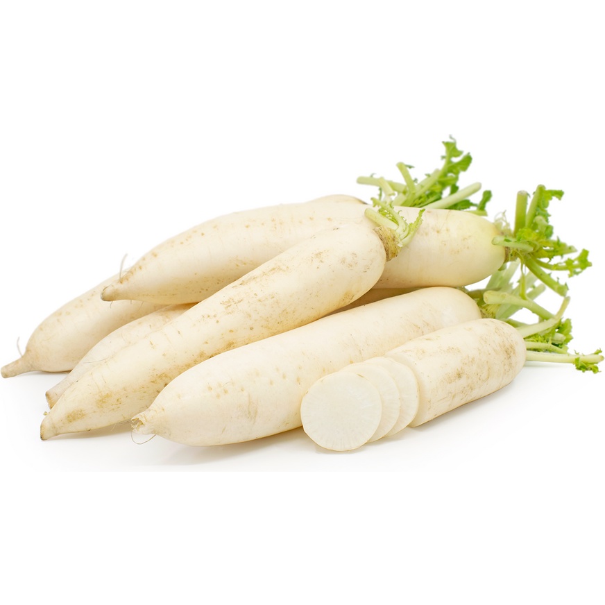 Benih Bibit Biji - Lobak Putih F1 Hibrida White Radish Chinese Daikon Seeds - Panen Dalam 45 Hari