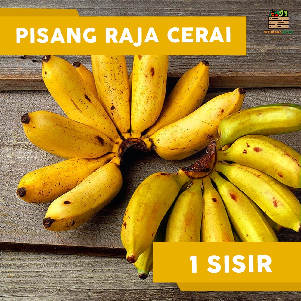 

Pisang Raja Cere | ±800gr (Kota Bandung & Sekitar)