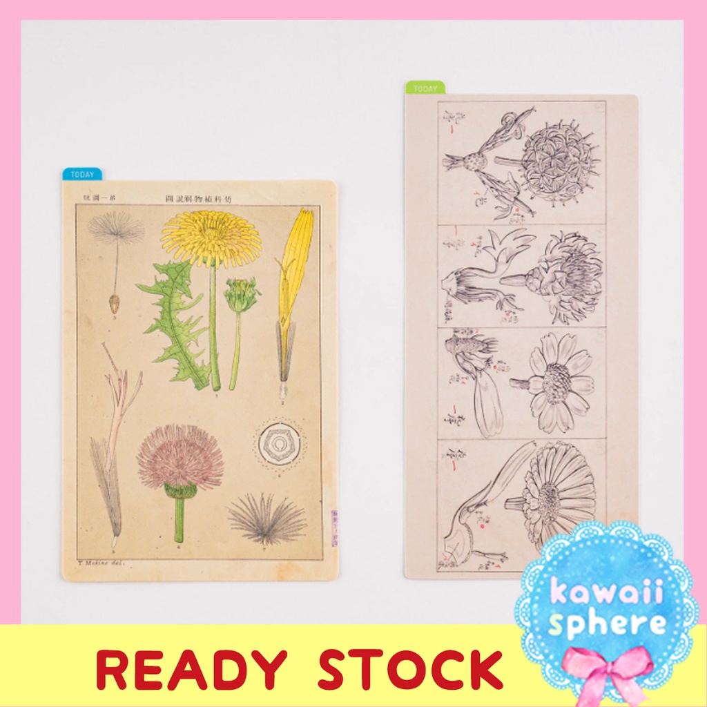 

Hobonichi Pencil Board / Underlay | Tomitaro Makino Botanical