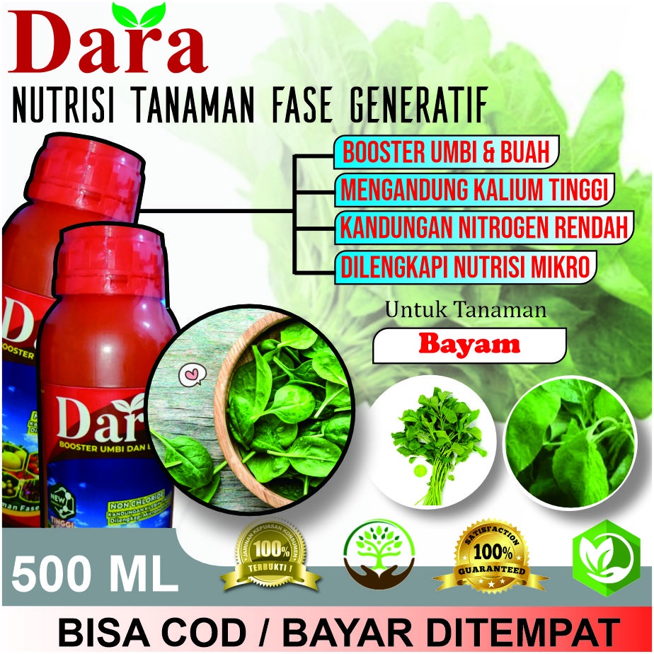 DARA 100% Booster Alami OBAT ORGANIK PELEBAT BAYAM Biar Cepat Berbuah, Hasil Panen Banyak - Pupuk Se