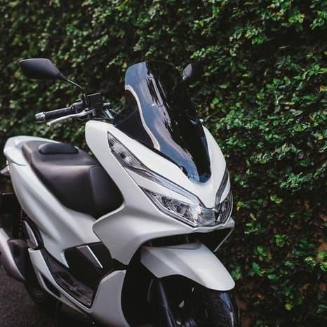 Windshield Ws Visor Pcx By Maxshield Sectbill