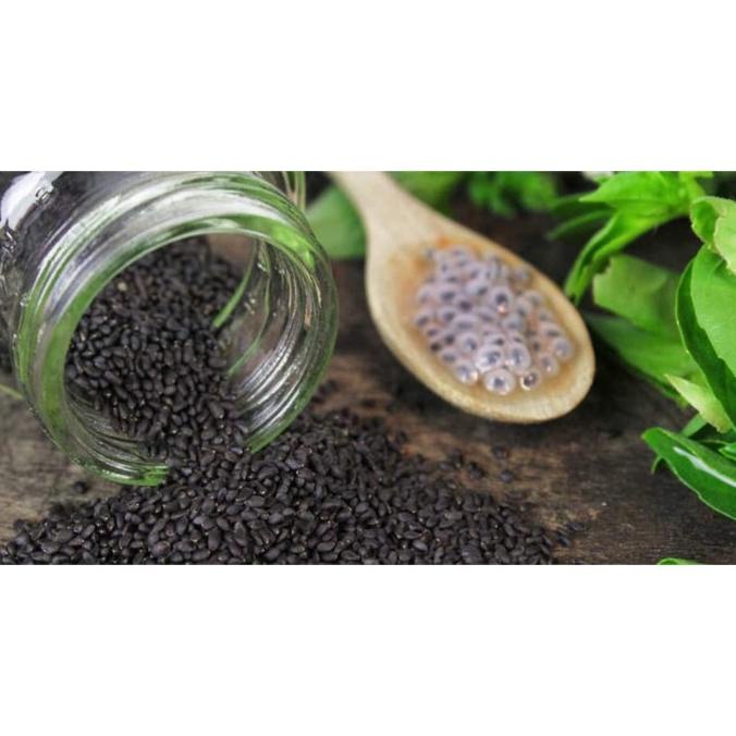 

PRODUK BIJI SELASIH PER 100GR REPACK BASIL SEED
