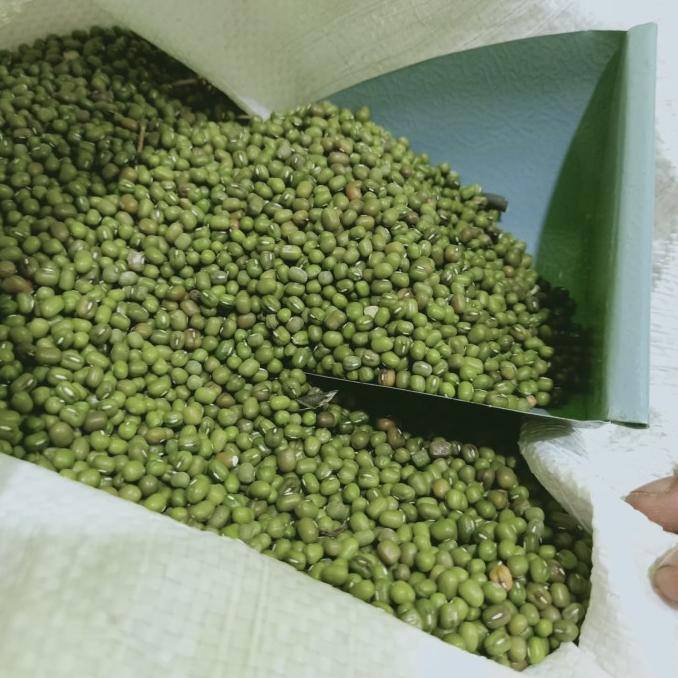 

SALE MUNG BEAN (KACANG HIJAU)BURMA IMPORT 500GRAM KUALITAS TERBAIK