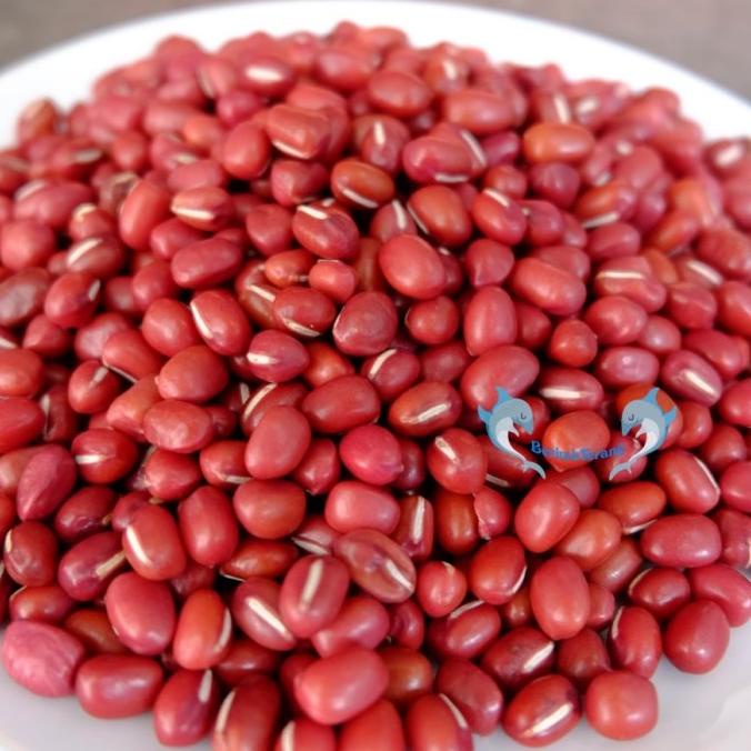 

PRODUK KACANG MERAH ADZUKI BEANS SUPER IMPORT RRC 500GR / AZUKI RED BEANS