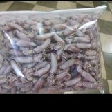 

baby cumi medan 1kg