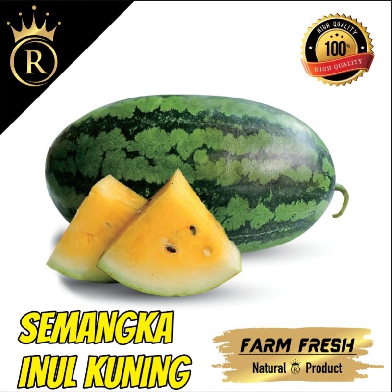 

SEMANGKA INUL KUNING MANIS