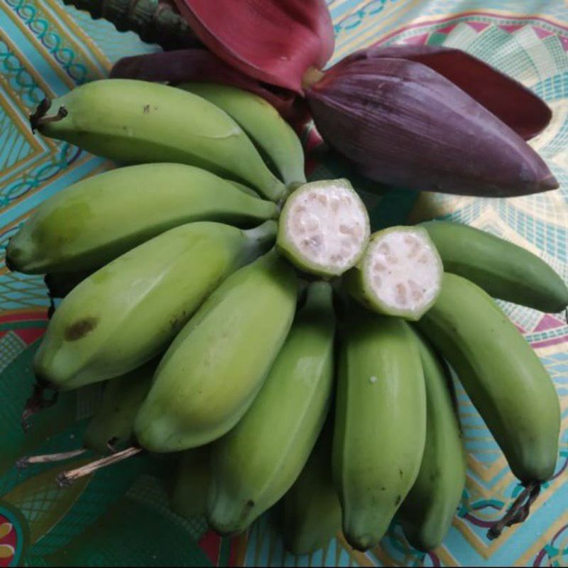 

PISANG KLUTUK/PISANG BATU MUDA MENTAH 1KG