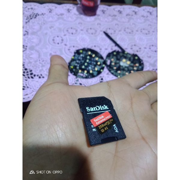 memory sd 256gb