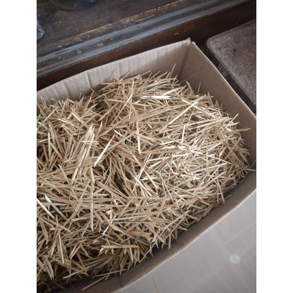 Reparasi Good Biting Tempe Daun