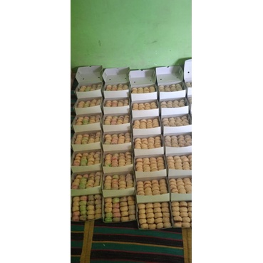 

BAKPIA KERING MAKANAN KHAS JOGJA