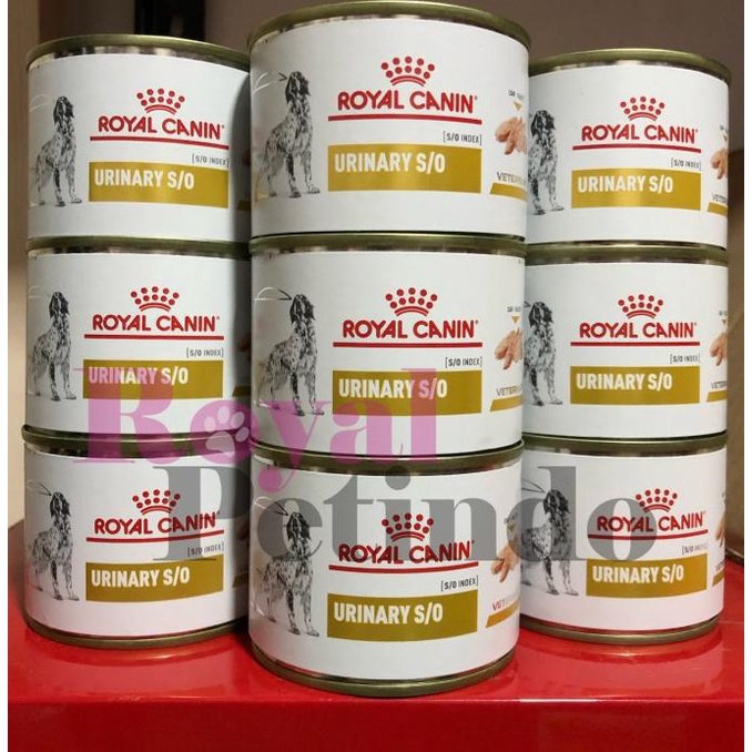 Royal Canin Urinary S/O Dog Wetfood Kaleng 200Gr